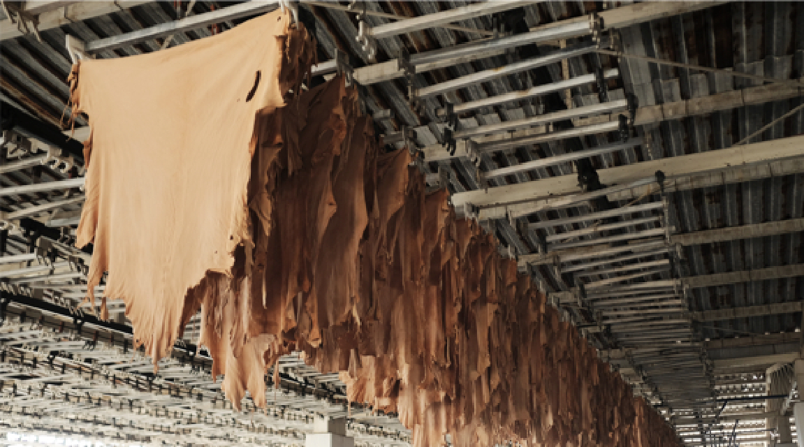 Tannery | Lider Deri